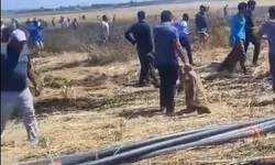 Şanlıurfa’da Tarım Arazisinde Korkutan Yangın