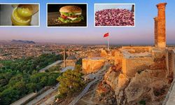 Şanlıurfa’da Gıda Skandalı: Bakanlık Peş Peşe İfşa Etti
