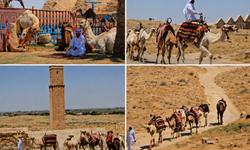 Şanlıurfa'da Tarih Yeniden Canlandı! Develer Harran Sokaklarında