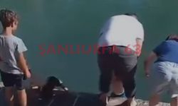 Şanlıurfa'nın Simgesi Balıklıgöl'de Tepki Çeken Anlar!