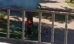 Haliliye’de Parkta Ağaç Yangını! İtfaiye Büyümeden Söndürdü