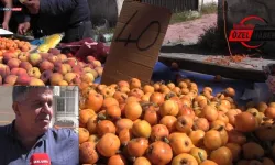 Şanlıurfa'da Malta Eriği Sezonu Başladı! Kilosu Ne Kadar Oldu?
