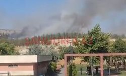 Şanlıurfa GAP Vadisi'nde Yangın! Ekipler Seferber Oldu