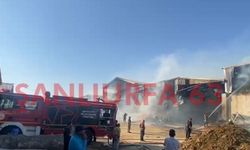 Şanlıurfa'da Besi Tesisinde Korkutan Yangın!