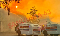 Şanlıurfa'da Besi Tesisindeki Yangında Seferberlik Yaşandı!