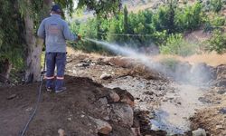Şanlıurfa'da Haşerelere Geçit Yok! Büyükşehir'den 40 Araçlık Dev Mücadele