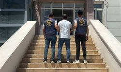 Şanlıurfa'da Hırsızlık Hükümlüsü Jandarmadan Kaçamadı!