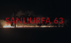 Şanlıurfa'da Korkutan Yangın! Rüzgar Alevleri Büyüttü