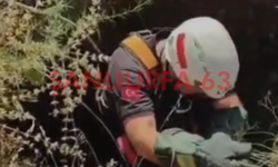 Şanlıurfa'da Nefes Kesen Kurtarma! Koyun Kuyudan Sağ Çıkarıldı!