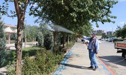 Şanlıurfa'da Yaz Kabusu Bitiyor! Üreme Alanları Tek Tek İlaçlanıyor
