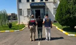 Şanlıurfa Jandarması Firarilere Göz Açtırmıyor!