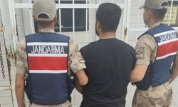 Şanlıurfa'da Hırsızlık Hükümlüsü Jandarmadan Kaçamadı!