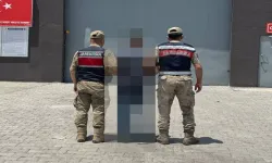 Şanlıurfa Jandarması Aranan Hükümlüye Göz Açtırmadı