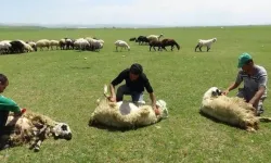 Bakan Yumaklı Duyurdu: Küçükbaş Hayvan Teslimatları Devam Ediyor