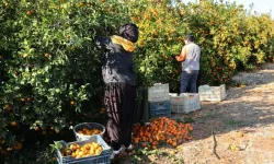 Bölge Birliği Genel Kurulu İçin Tarih Belli Oldu