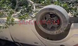 Birecik’te Kontrolden Çıkan Araç Fıstık Tarlasına Girdi