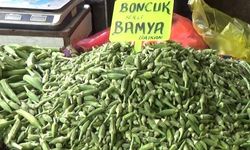 Şanlıurfa’da Bamya Fiyatı Dudak Uçuklattı!