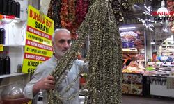 Şanlıurfa’da Çiçek Bamya Sezonu: Fiyatı Cep Yakıyor, Turistler Rağbet Ediyor