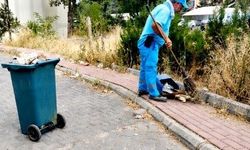 Eyyübiye’nin Sokaklarında Temizlik Çalışmaları Sürüyor