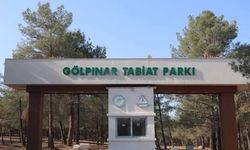 ŞANLIURFA'da Tabiat Parkını Alevler Sardı