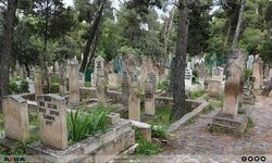 Arif Yalçın hayatını kaybetti