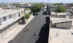 Şanlıurfa Büyükşehir Belediyesi Hilvan’da Yol Çalışmalarını Sürdürüyor