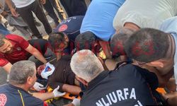 Şanlıurfa Harran’da Feci Kaza: 1’i Ağır 2 Yaralı