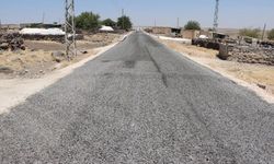 Şanlıurfa’da Kırsal Yollar Yenileniyor: Viranşehir’de 8 Kilometrelik Çalışma