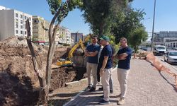 Şanlıurfa’da Taşkın Riskine Karşı Çalışmalar Hız Kazandı