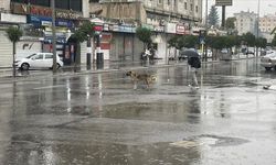Şanlıurfa’da Hava Bir Anda Değişecek! Sağanak Sonrası Kavurucu Sıcak