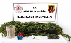 Şanlıurfa Akçakale’de Narkotik Operasyonu! 1 Şüpheli Gözaltına Alındı