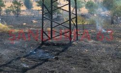 Bozova’daki Anız Yangını Çevreye Yayılmadan Söndürüldü