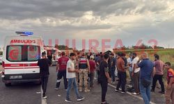 Şanlıurfa’da Tarım İşçilerini Taşıyan Minibüs Kanala Düştü: 24 Yaralı