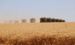 TÜRİB’de Buğday, Mısır Ve Arpa Fiyatlarında Haftalık Değişim