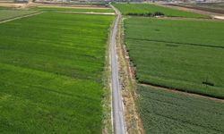 Viranşehir’de 5 Kilometrelik Yol Yenilendi! Ulaşım Rahatladı