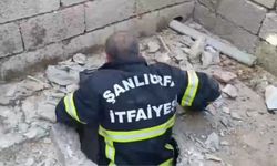 Şanlıurfa’da Foseptik Çukuruna Düşen Kedi Kurtarıldı