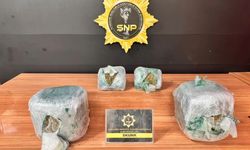 Şanlıurfa’da Yolcu Otobüsünde 17 Kilo 300 Gram Skunk Ele Geçirildi