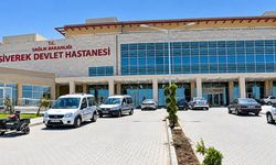 Şanlıurfa Siverek’te Evinde Silahını Temizlerken Kendini Vurdu