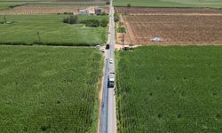 Şanlıurfa’da Kırsal Yollarda Çalışmalar Hızlandı: 12 Kilometre Yenileniyor