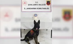 Şanlıurfa’da Uyuşturucu Operasyonu: 1 Kilogram Metamfetamin Ele Geçirildi