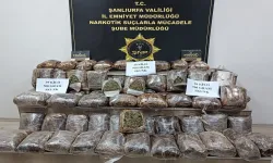 Şanlıurfa’da Yolcu Otobüsünde 39 Kilo 700 Gram Skunk Ele Geçirildi
