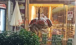 Şanlıurfa’da Askıda Ekmek Geleneği İhtiyaç Sahiplerine Destek Oluyor