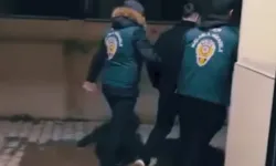 Şanlıurfa’nın da Aralarında Olduğu 54 İlde Kaçakçılık Operasyonu!