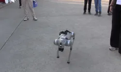 Şanlıurfa’da Yapay Zekâlı Robot Köpek TEKNOFEST’e Damga Vurdu