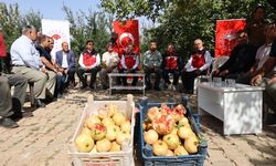 Şanlıurfa’da 2026 Yılı Nar Üretimi İçin 10 Bin Ton Beklentisi