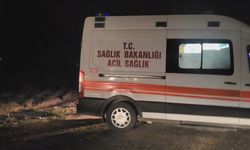 Şanlıurfa’da Direksiyon Hâkimiyetini Kaybeden Sürücü Kanala Uçtu