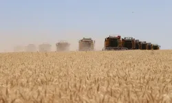 Şanlıurfa’da Tarım Sigortalarında Yeni Dönem: TARSİM Kapsamı Genişliyor