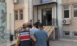 Şanlıurfa’da 1 Ton 100 Kilogram Fıstık Hırsızlığına 4 Tutuklama