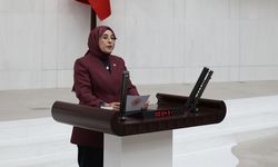 Meclis Genel Kurulu'nda Şanlıurfa rüzgarı: "Yapay zekayı gençler yönetiyor"