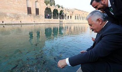 Başbakan Binali Yıldırım Balıklıgöl'de